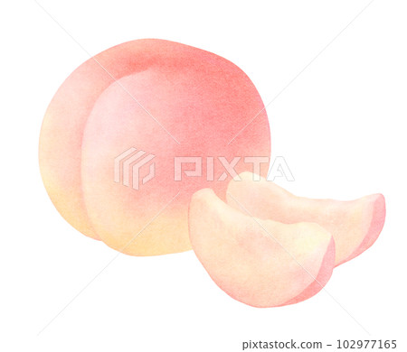 一個完整的桃子和切片桃子的插圖清新可愛的水果水彩 102977165
