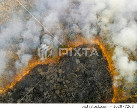 Climate change, Wildfires release carbon dioxide (CO2) emissions and other greenhouse gases (GHG) that contribute to climate change and global warming. 102977268