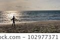 Surfing and the sea 102977371