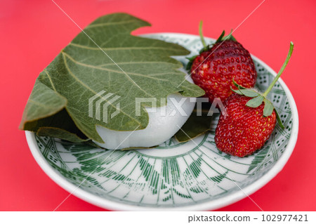 柏年糕和草莓 102977421