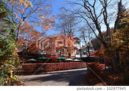 Karuizawa Mampei Hotel at the peak of autumn leaves Karuizawa Mampei Hotel at the peak of autumn leaves 102977945