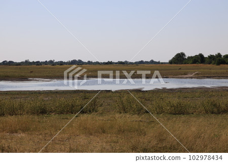 [Botswana] Moami Game Reserve 102978434