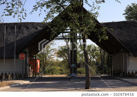 [Botswana] Moami Game Reserve 102978438