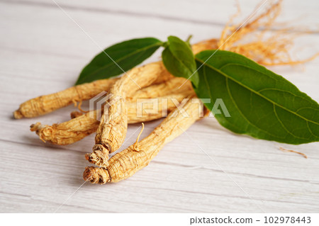 Ginseng roots and green leaf, healthy food. Ginseng roots and green leaf, healthy food. 102978443
