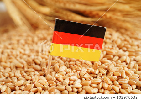 Germany flag on grain wheat, trade export and economy concept. Germany flag on grain wheat, trade export and economy concept. 102978532