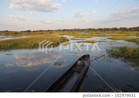 【博茨瓦納】博泰蒂河 【博茨瓦納】博泰蒂河 102979031