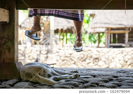 巴厘島 Tenganan 村的休閒風光 102979094