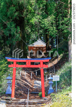 宇治神社 102979833