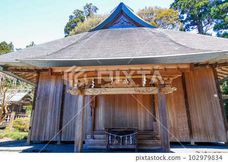 Dainichido 102979834