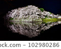 彥根城和櫻花 102980286
