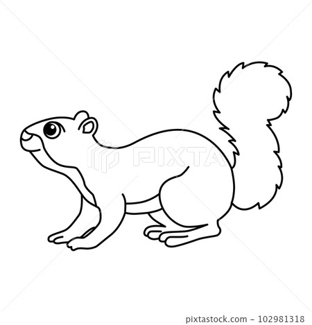 Squirrel cartoon coloring page illustration vector. For kids coloring book. Squirrel cartoon coloring page illustration vector. For kids coloring book. 102981318