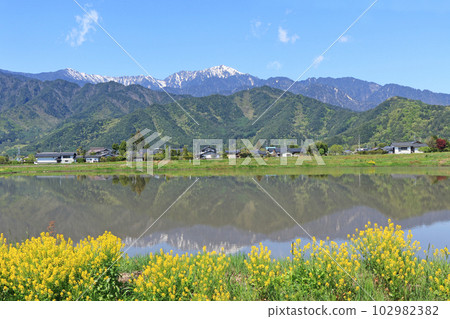 五月在安曇野鄉村和北阿爾卑斯山 102982382