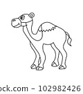 Cute camel cartoon illustration vector, for kids coloring book. 102982426