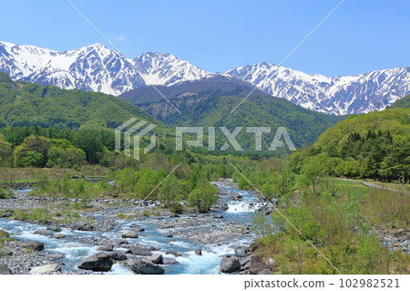 信州白馬五月白馬三山與新鮮的綠色和殘雪 102982521