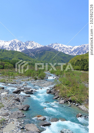 信州白馬五月白馬三山與新鮮的綠色和殘雪 信州白馬五月白馬三山與新鮮的綠色和殘雪 102982526