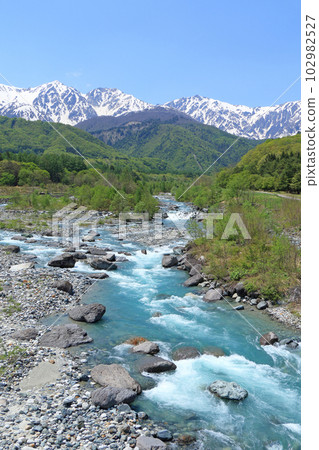 信州白馬五月白馬三山與新鮮的綠色和殘雪 102982527