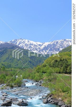 五月的信州白馬新綠殘雪的白馬山 102982557