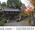 Kazanin temple gate in deep autumn 102983034