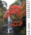 Autumnal Minoo Falls 102983037