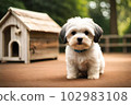 【AI世代】Dog（小型犬）（007） 102983108