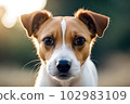 【AI世代】Dog（小型犬）（008） 102983109