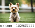 【AI世代】Dog（小型犬）（009） 102983111