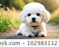 【AI代】Dog（小型犬）（010） 102983112