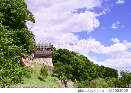 Scenery of Ueda Castle Scenery of Ueda Castle 102983609