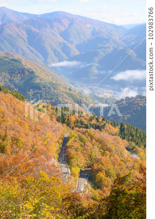 秋葉Hakusan Shirakawago白色路 102983766