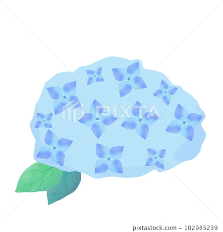 Watercolor style blue hydrangea icon Watercolor style blue hydrangea icon 102985239