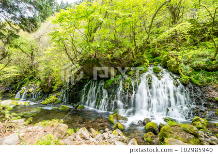 Motoyuki underwater water Motoyuki underwater water 102985940