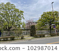 河邊散步 102987014