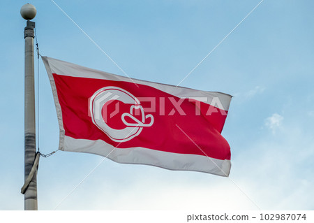A flag of Calgary on a pole during the day. 102987074