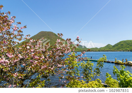 新綠的榛名湖和榛名山 新綠的榛名湖和榛名山 102987831