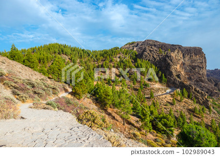 beautiful landscape of the volcanic island of gran canaria 102989043