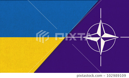 Ukrainian into NATO. Ukraine and NATO flags. Flag of Ukraine and NATO Ukrainian into NATO. Ukraine and NATO flags. Flag of Ukraine and NATO 102989109