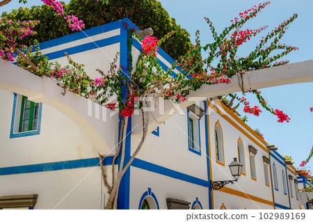 historic center of puerto de mogan with lots of bougainvillea flowers, Canary Island 102989169