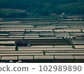 Paddy landscape in the evening 102989890