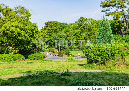 大阪府豐中市服部綠地公園的新綠 102991221