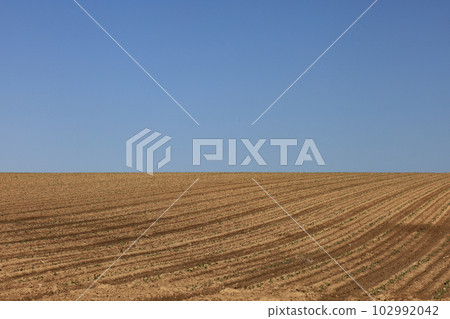 Hokkaido in early summer, blue skies and clouds, ridges in the field 102992042