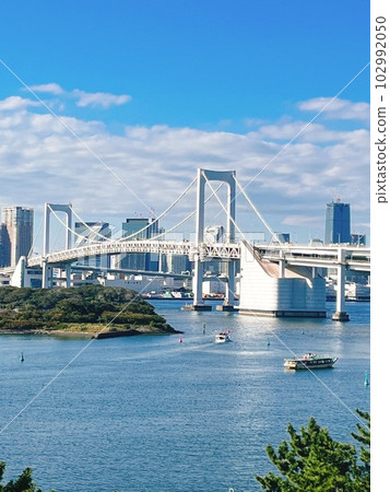 晴朗的東京灣和彩虹橋 102992050