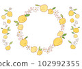 檸檬的框架 102992355