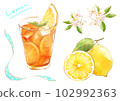 檸檬茶加檸檬和檸檬花的插圖 102992363