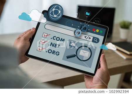 Big Data on a Domain Web Page and SEO Internet Domain Name Registration Domain, Address Internet Network Online Website on a Computer 102992394