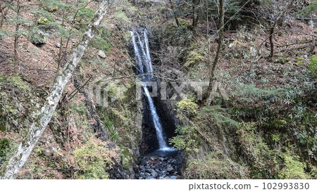 三段之瀧（靜岡縣靜岡市葵區） 102993830