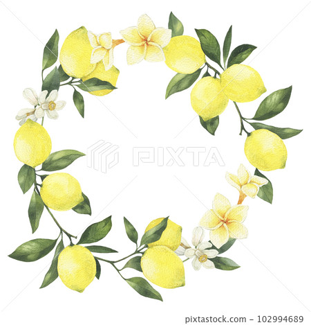 Lemon wreath watercolor illustration. Italian style wreath. Isolated on white Lemon wreath watercolor illustration. Italian style wreath. Isolated on white 102994689