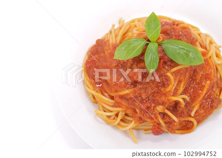 博洛尼亞麵食意大利面肉醬淺色背景 博洛尼亞麵食意大利面肉醬淺色背景 102994752