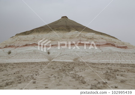 uzbekistan 102995439