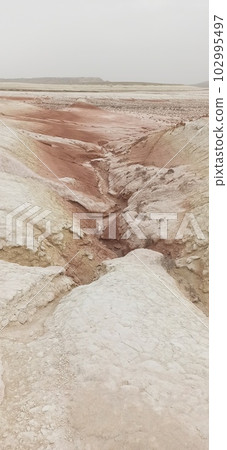 102995497