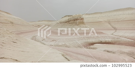 102995523